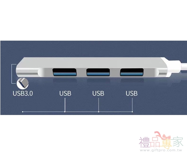 二合一 USB 擴充集線器